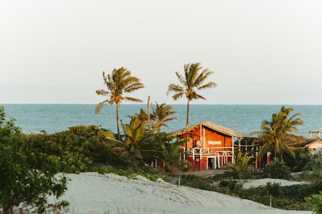 Rustic beachfront house surrounded by palm trees with the Caribbean Sea in the background